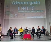 b_180_160_16777215_00_images_72ma_Giornata_del_Ringraziamento_Sessa_Aurunca_Caserta.jpg