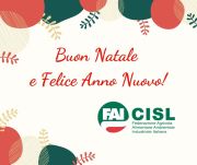 b_180_160_16777215_00_images_Buon_Natale_-_sito_fai_2019.jpg