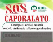 b_180_160_16777215_00_images_SOS_Caporalato_Locandina_per_sito_tendina_grigia.jpg