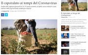 b_180_160_16777215_00_images_Screenshot_2020-03-29_Il_caporalato_ai_tempi_del_Coronavirus_uno_sguardo_agli_sfruttati1.png