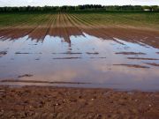 b_180_160_16777215_00_images_alluvione_2.jpg