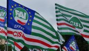 b_180_160_16777215_00_images_bandiere-FAI.jpg