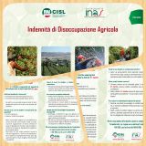 b_180_160_16777215_00_images_collage_ds_agricola_2021_rumeno_albanese.jpg