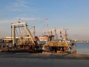 b_180_160_16777215_00_images_pescherecci_sicilia_-_foto_colagrossi_-_fai_cisl.jpg