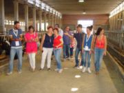 S.PATRIGNANO (2)_Pagina_15