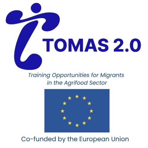Logo Tomas 2