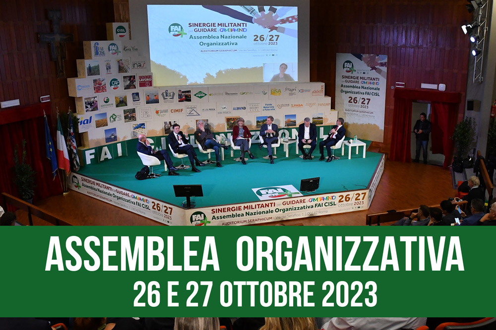 assemblea organizzativa fai
