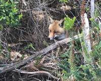 IMG-20190505-WA0268.jpg