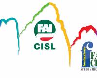 Logo in montagna-1.jpg