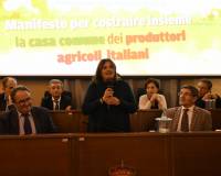 IMG-20191109-WA0115.jpg